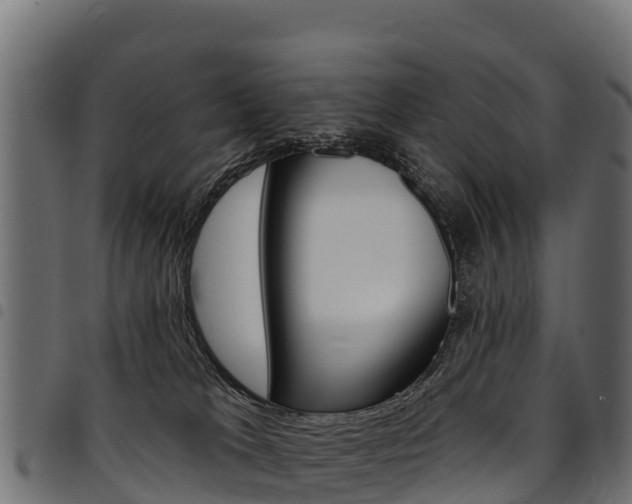 X0000094960037200711291138