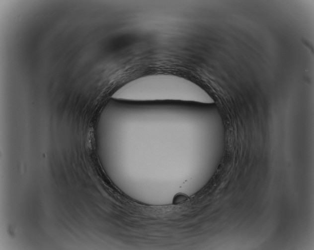 X0000094960038200711291138