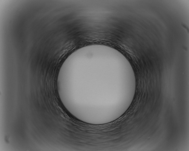 X0000094960039200711291137