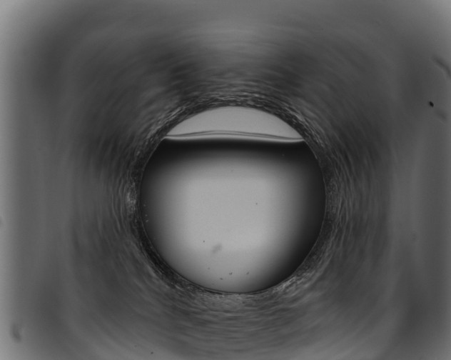 X0000094960040200711291137