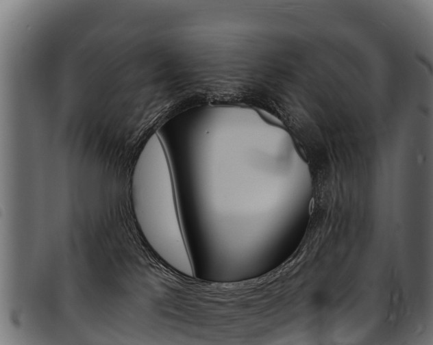 X0000094960041200711291137