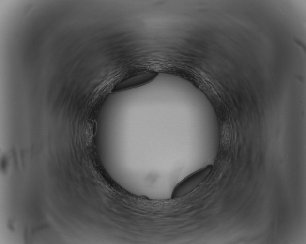X0000094960043200711291137