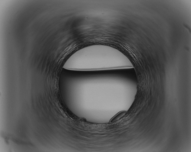 X0000094960044200711291137