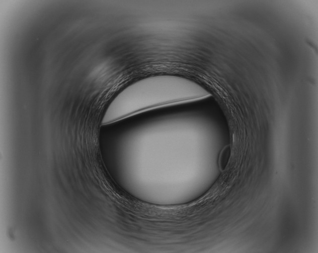 X0000094960048200711291137