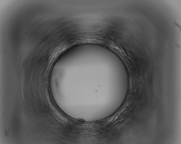 X0000094960049200711291137