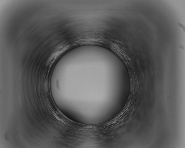 X0000094960050200711291137