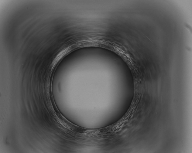 X0000094960051200711291137