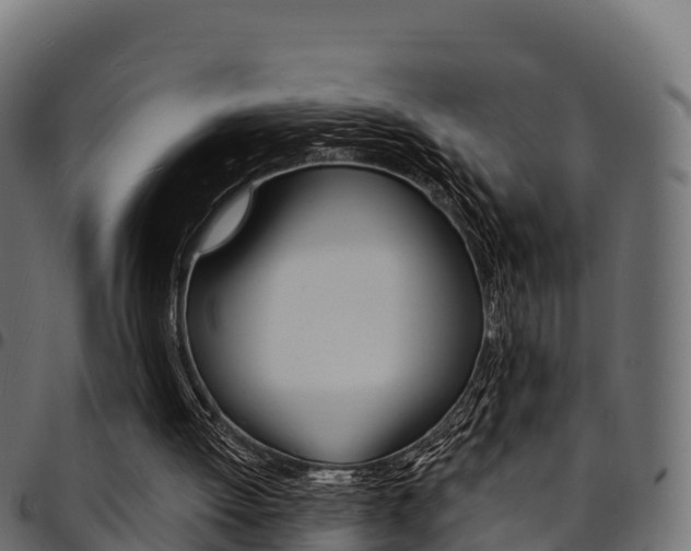X0000094960052200711291137