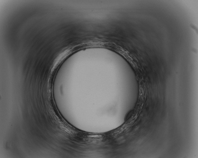 X0000094960053200711291137