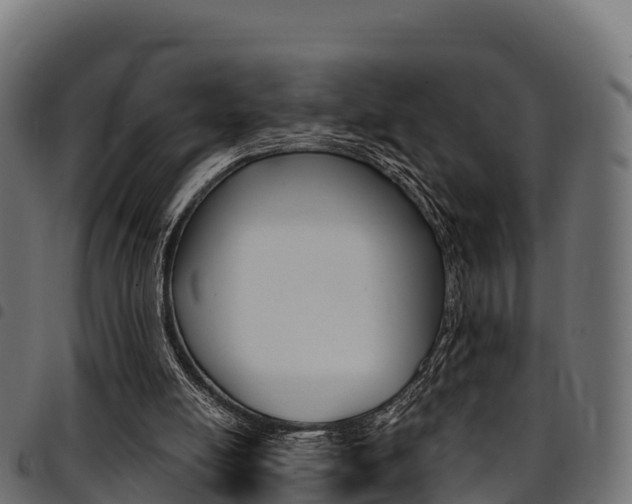 X0000094960054200711291137