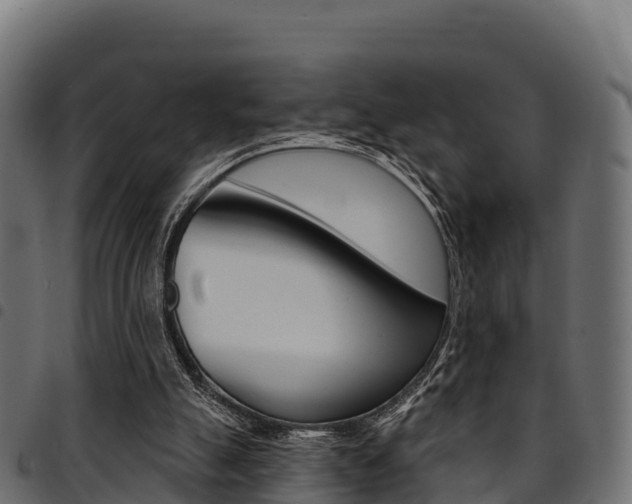 X0000094960055200711291137