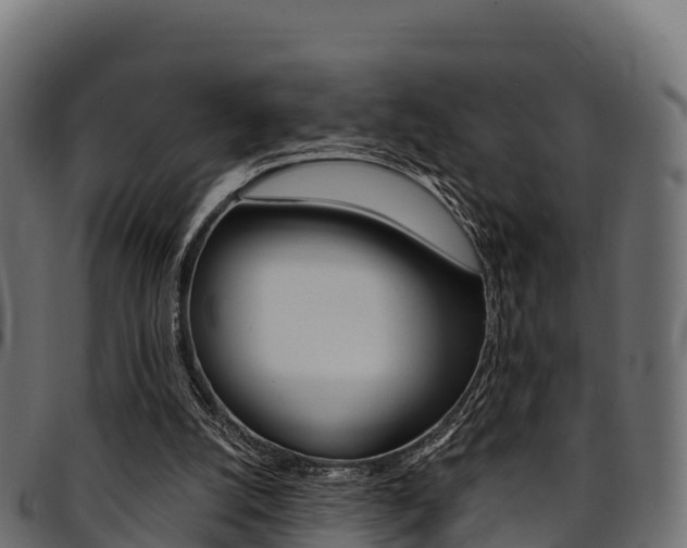 X0000094960056200711291137