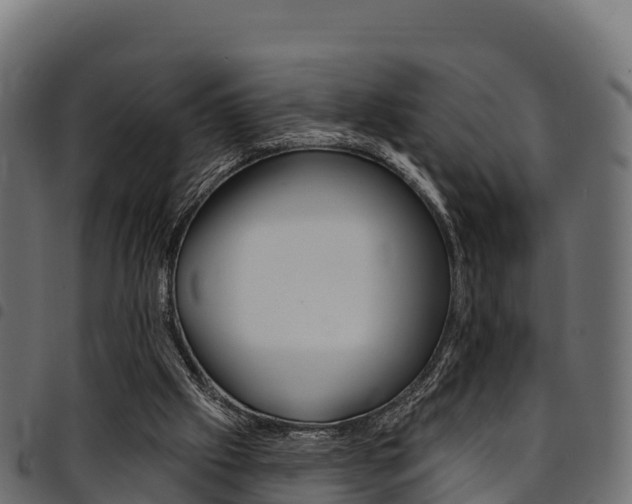X0000094960057200711291137