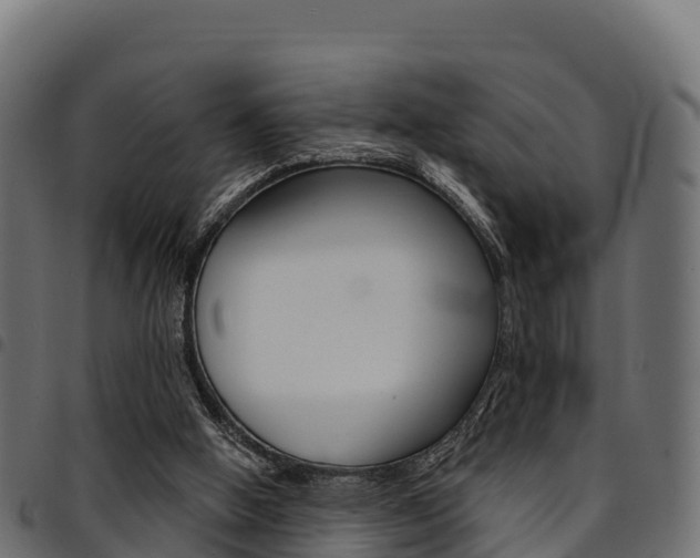 X0000094960058200711291137
