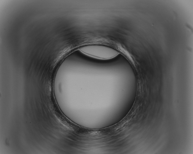 X0000094960059200711291137