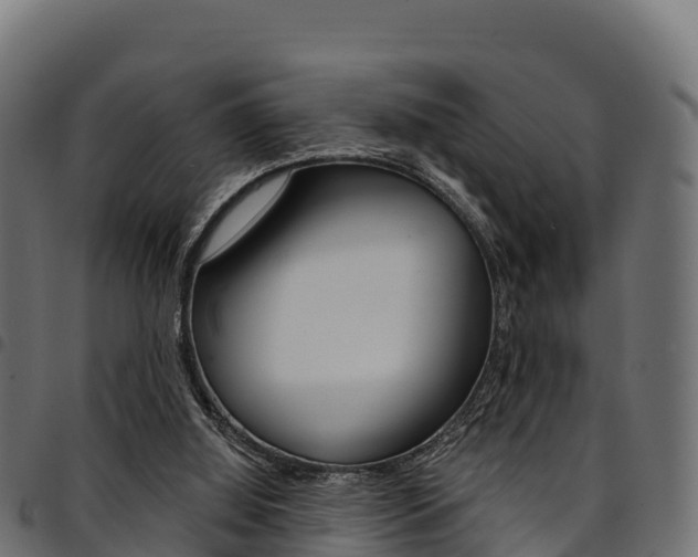 X0000094960060200711291137