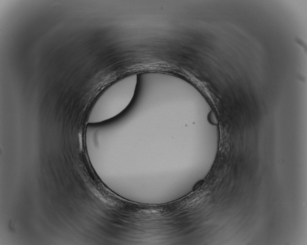 X0000094960061200711291137