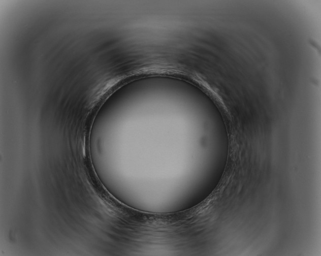 X0000094960062200711291137
