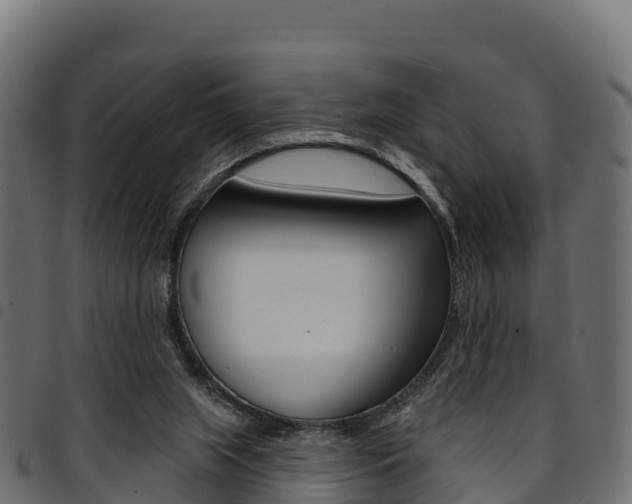 X0000094960063200711291137