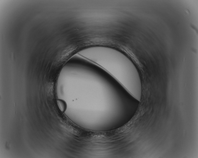 X0000094960066200711291137