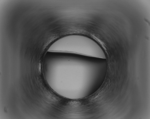 X0000094960067200711291137