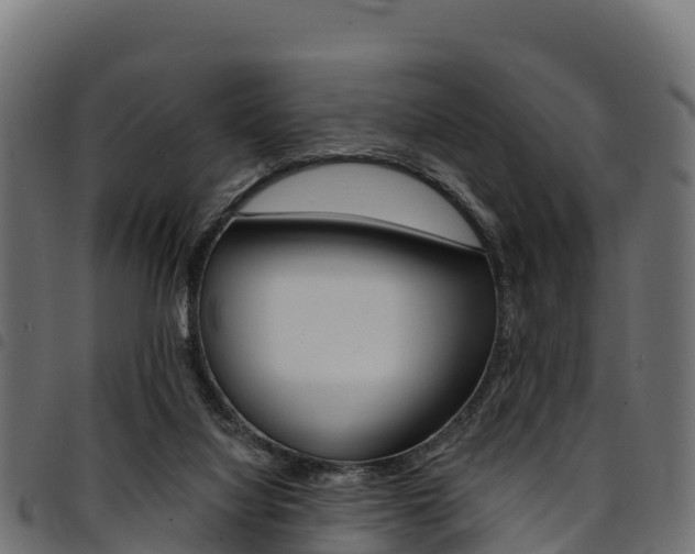 X0000094960068200711291137