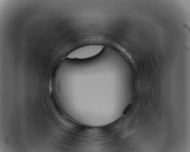 X0000094960069200711291137