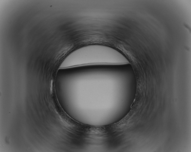 X0000094960070200711291137