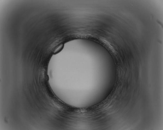 X0000094960071200711291137