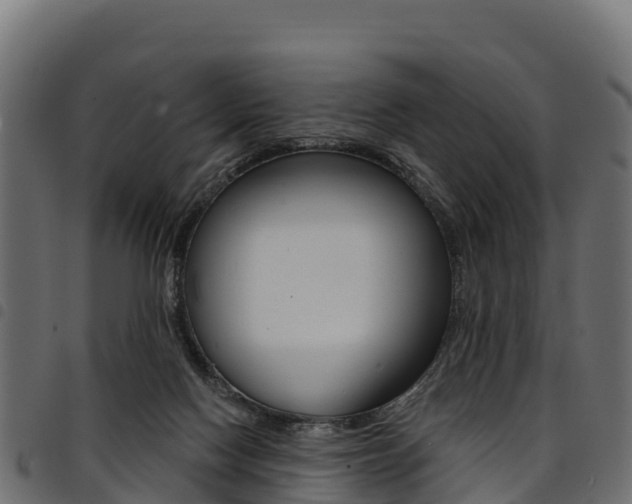 X0000094960074200711291137
