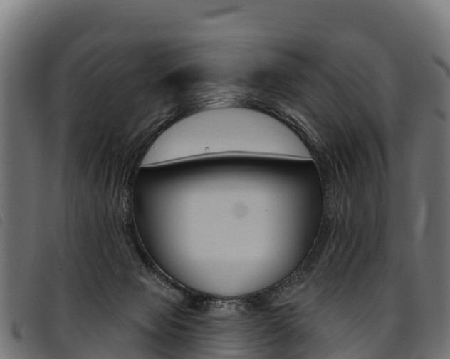 X0000094960077200711291137
