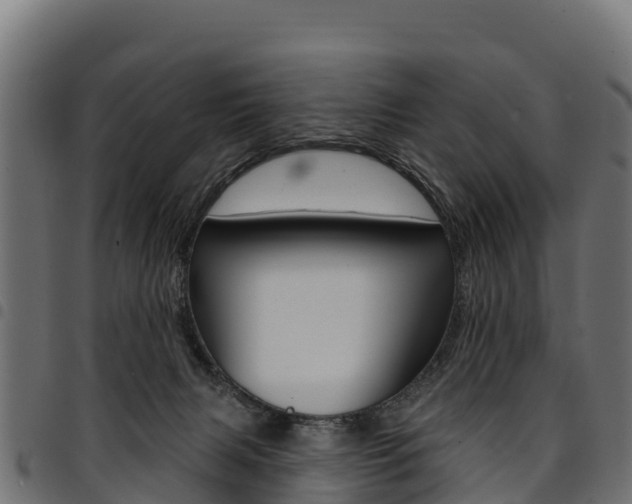 X0000094960079200711291137