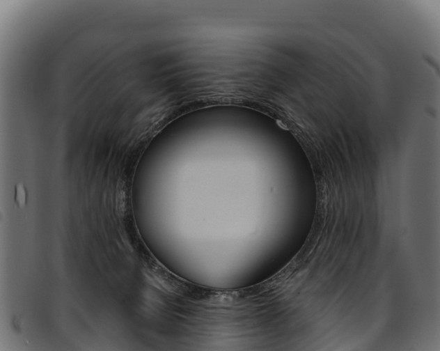 X0000094960080200711291137