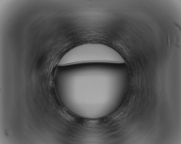 X0000094960081200711291137