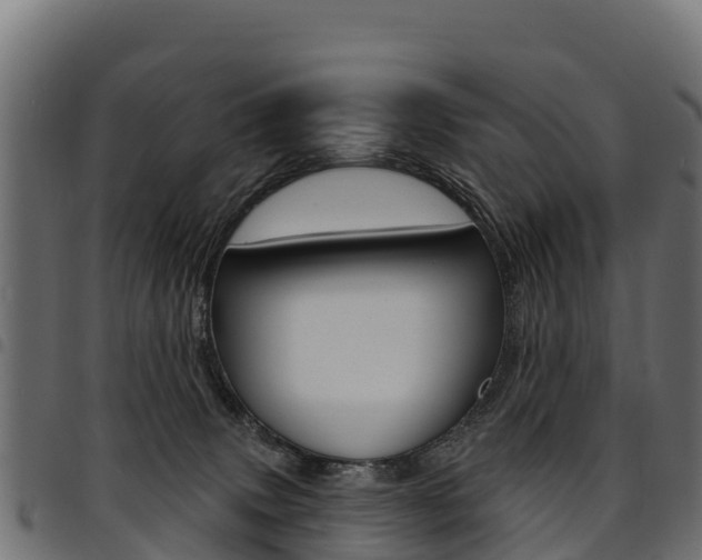 X0000094960083200711291137