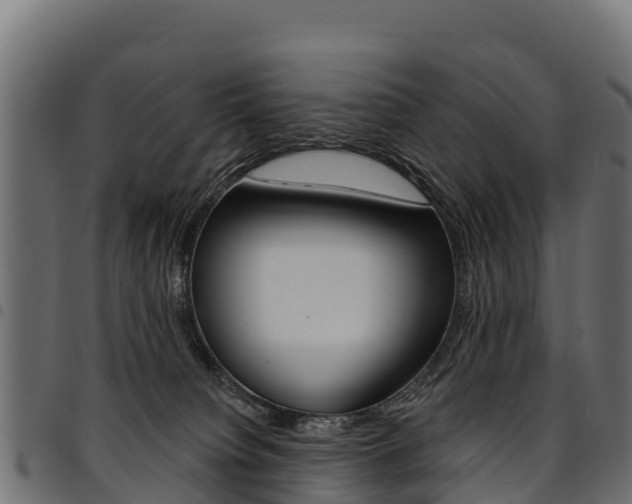 X0000094960084200711291137
