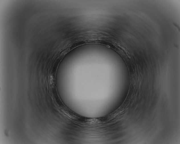 X0000094960087200711291137