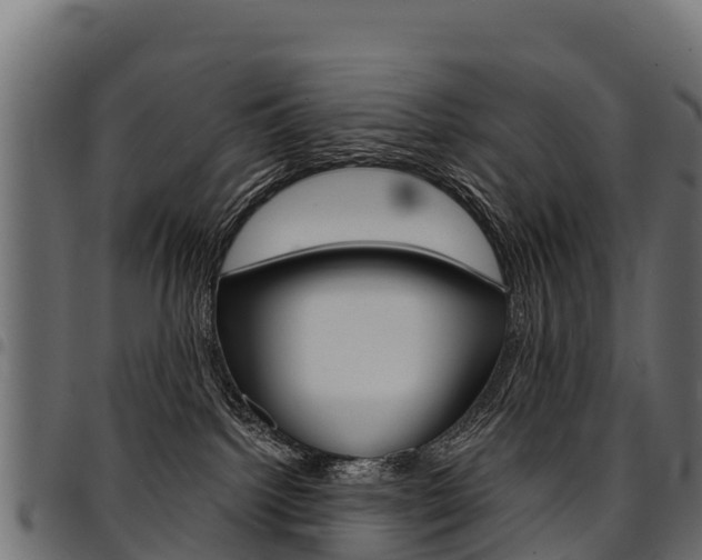 X0000094960092200711291137