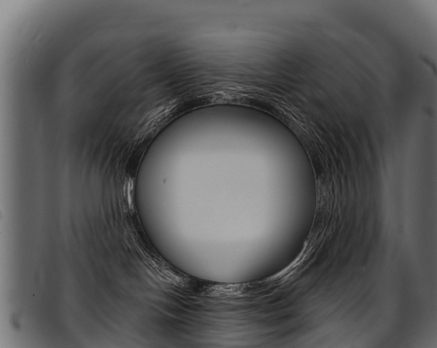 X0000094960094200711291137