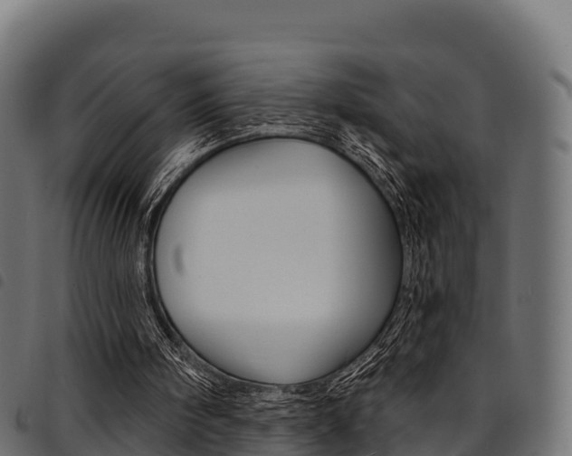 X0000094960098200711291137