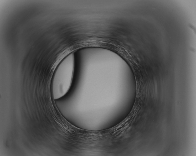 X0000094960099200711291137