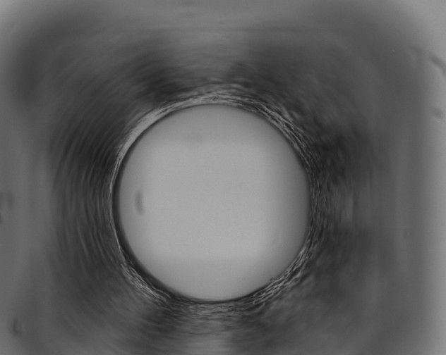 X0000094960100200711291136