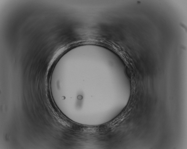 X0000094960102200711291136
