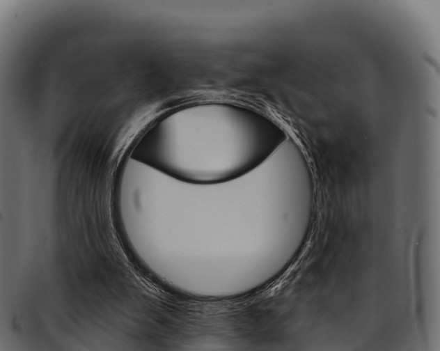 X0000094960103200711291136