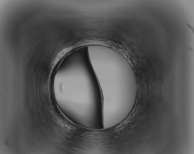 X0000094960104200711291136