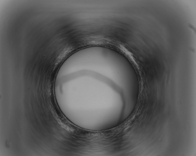 X0000094960106200711291136