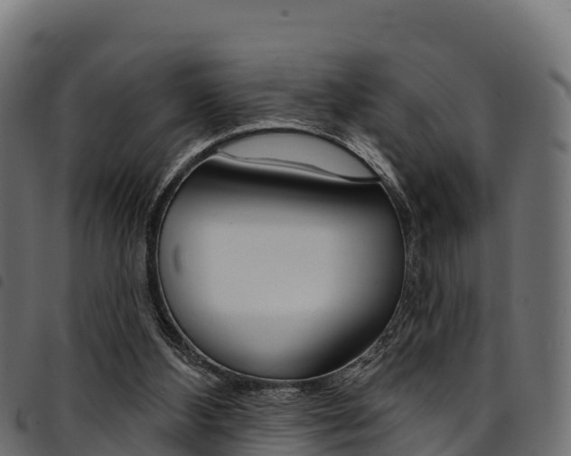 X0000094960108200711291136