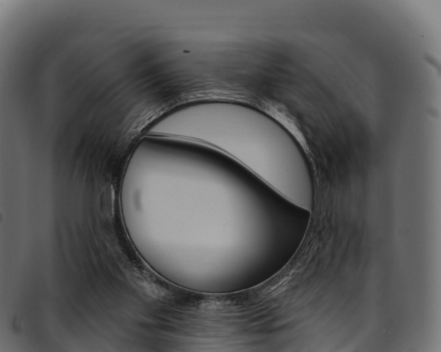 X0000094960109200711291136