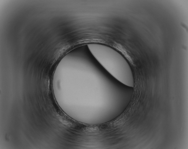 X0000094960110200711291136