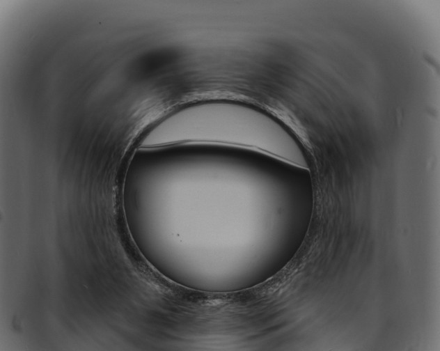 X0000094960111200711291136